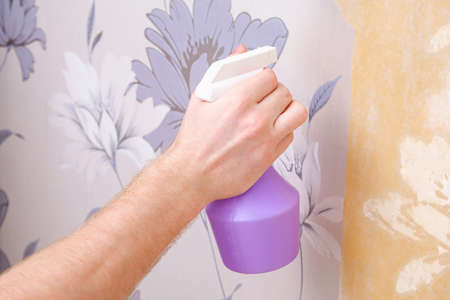 Removing old wallpaper with a spatula and a sprayer with water. A man removes old wallpaper in a...