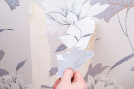Removing old wallpaper with a spatula and a sprayer with water. A man removes old wallpaper in a room.の写真素材