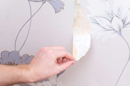 Removing old wallpaper with a spatula and a sprayer with water. A man removes old wallpaper in a...