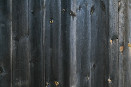 Wooden texture with vertical lines. The texture of wood with knots and holes. The background of a wooden fence damaged by time. The texture of a tree with moss.の写真素材