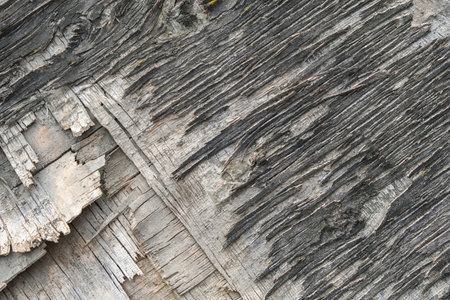 The texture of old plywood. The background is made of an old tree with moss. Top view of...