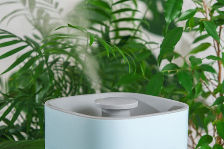 The ultrasonic humidifier releases cold steam. Care and hydration of plants in dry air. Humidifier in the bedroom for cough and dryness.の写真素材