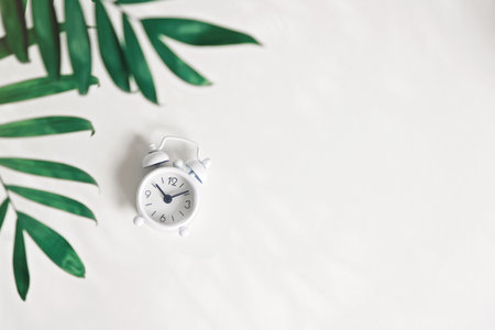 A white alarm clock on a white background surrounded by plants. Top view, flat lay.の写真素材