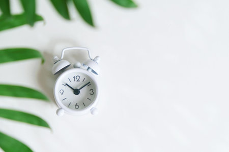 A white alarm clock on a white background surrounded by plants. Top view, flat lay.