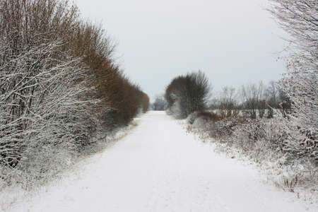 winter worldの写真素材