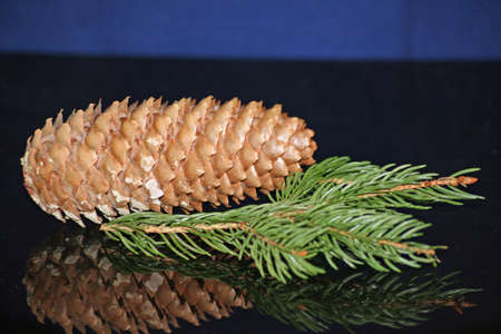 merry christmasの写真素材