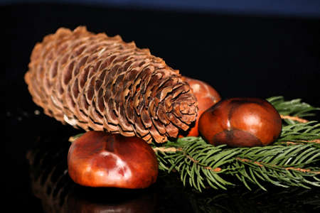 merry christmasの写真素材