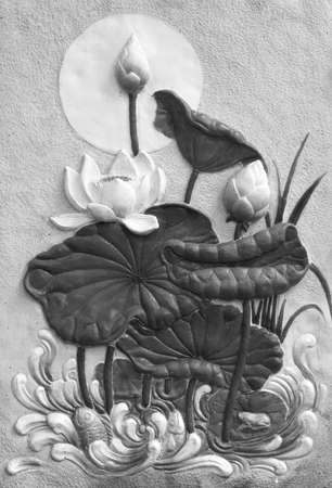 lotus stuccoの写真素材