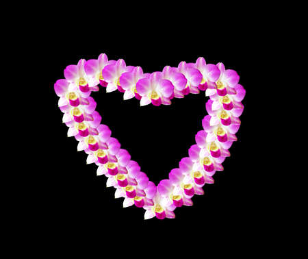 Flowers convey the love given to lovers in priority, it's Christmas, Valentine's Day.の写真素材