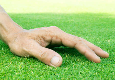 Hand on green lush grassの写真素材