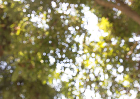 Bokeh sunの写真素材