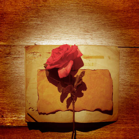 paper, old, wood, roseの写真素材