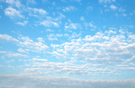 The vast sky is white.の写真素材