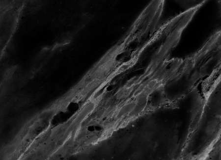 Black marbleの写真素材