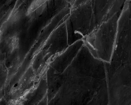 Black marbleの写真素材