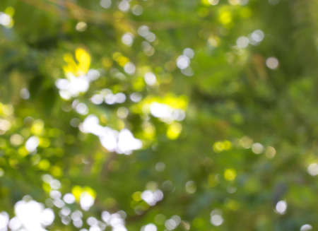 Bokeh sunの写真素材