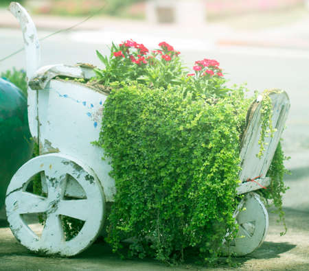 Car flowerpotの写真素材