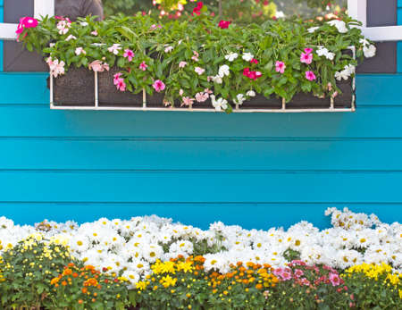 Wood and flower wallsの写真素材