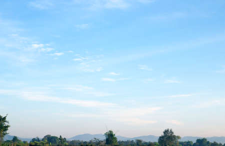 grass green   background skyの写真素材