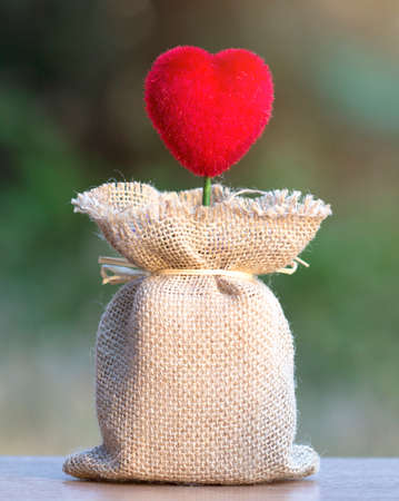Heart sack background