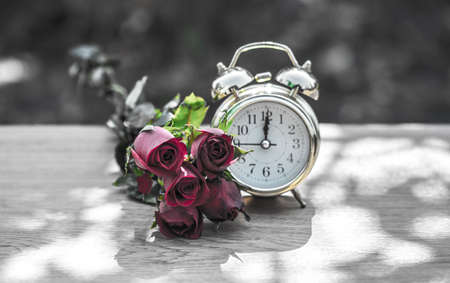 rose clock background

の写真素材