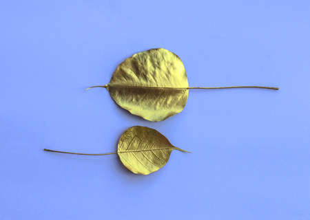 Leaves gold  background