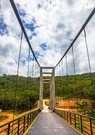 Suspension bridge natureの写真素材