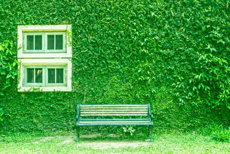 Green walls, windows and benches