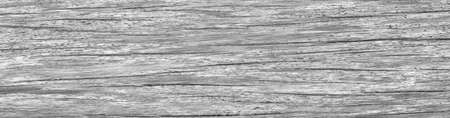 Gray wood old background