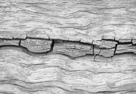 wood old backgroundの写真素材