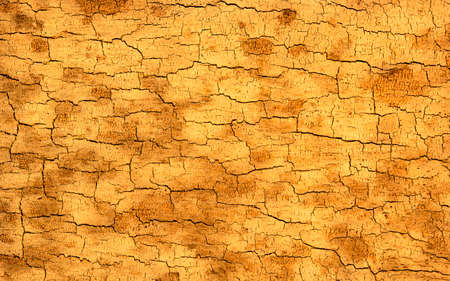 Walnut wood texture. Super long walnut planks texture background.