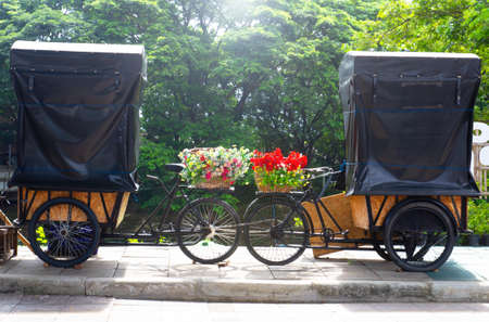 nature Flower bikes