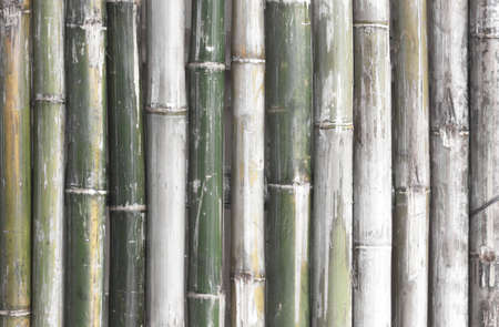 bamboo fence texture backgroundの写真素材
