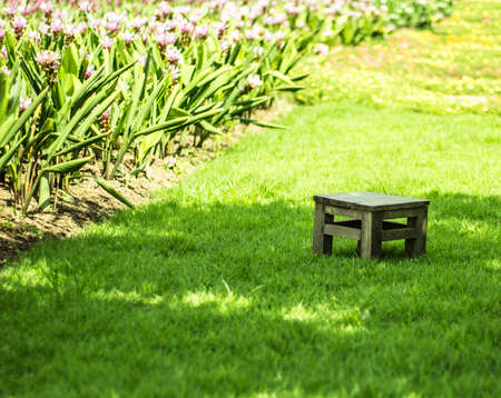 Blurred bokeh outdoor garden and wooden chairsの写真素材