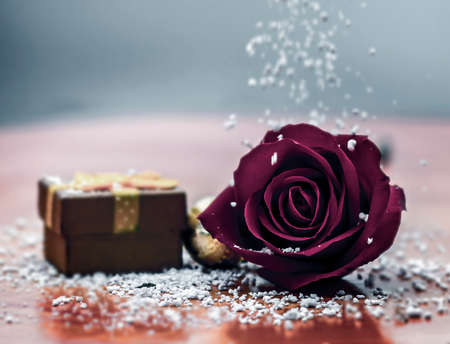 Beautiful red rose background giving each other on love day