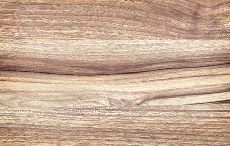 Wood wall texture abstract backgroundの写真素材