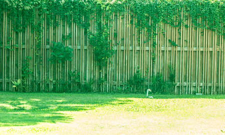 Wood walls and ivy background natureの写真素材
