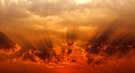The vast sky that is gold landscape beautiful