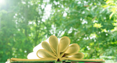 Dark grey black slate background or texture.の写真素材