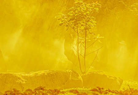 background texture of old luxury vintage wooden wallの写真素材