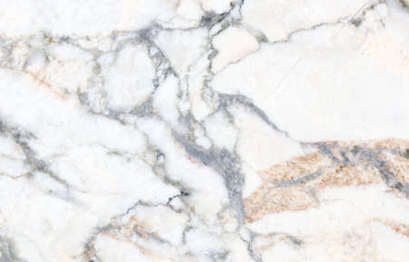 White wood texture. Wood background with natural pattern for design and decoration. Veneer surface backgroundの写真素材