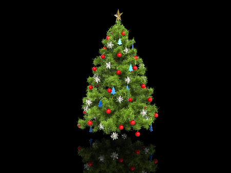 Xmas tree isolated on black reflective backgroundの写真素材