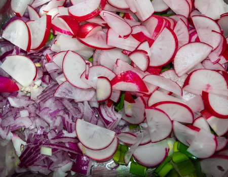 Food ingredients - radish, red onions and green onions choppedの写真素材
