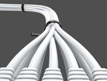 White network cables plugged in - extreme close up shot