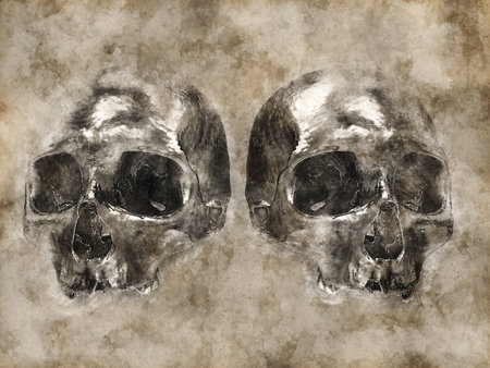 Two skulls side by side - vintage illustrationの写真素材