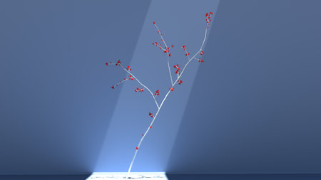 Beautiful white Sakura cherry branch in light sky blue room that is lit with natural sun lightの写真素材