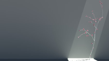 Beautiful white branch with small pink cherry flowers in a subtle light gray background and ray of sun shining on itの写真素材