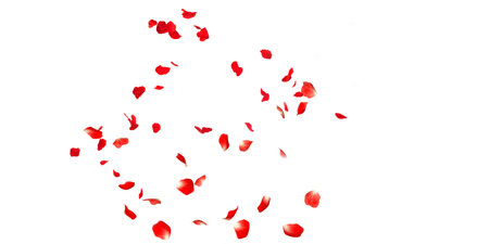 Petals Stock Image with blur effectの写真素材