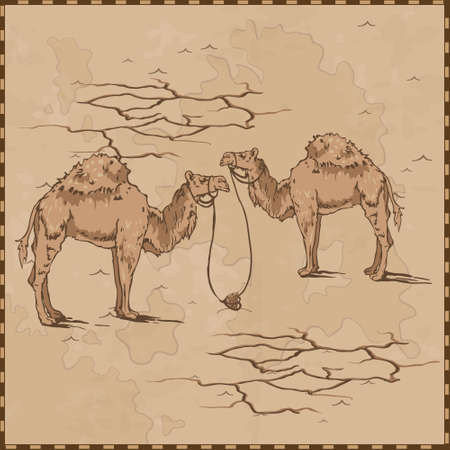 camels map vintageのイラスト素材