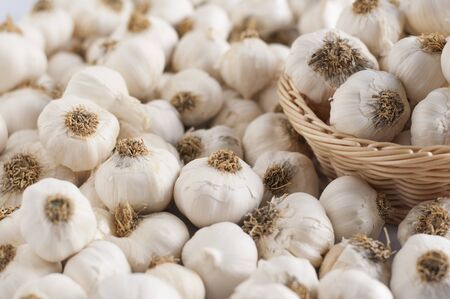 close up of garlic background.の写真素材